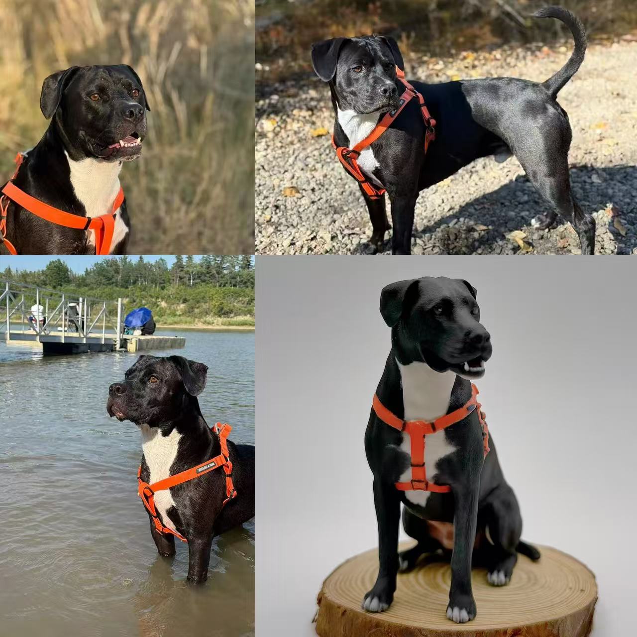 11fa2b9be660a0ca0f65dc1ba9f78446