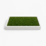 Meadow Base