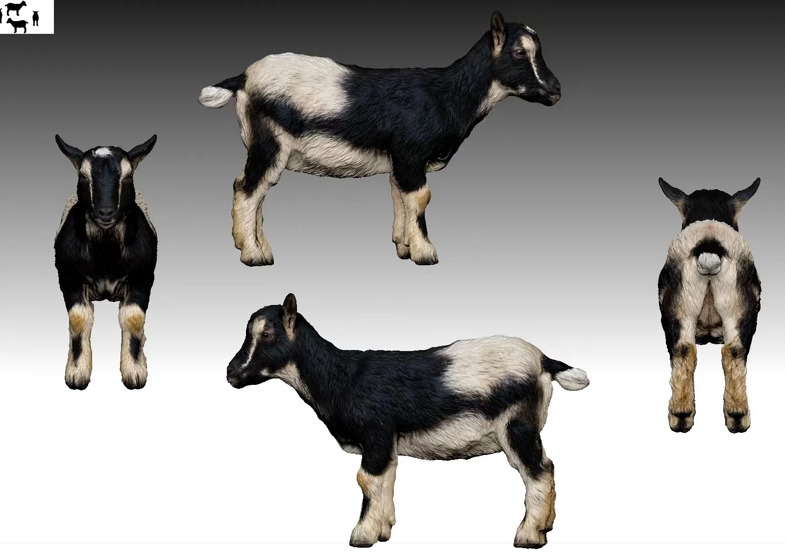 Pepper with his custom goat figurine