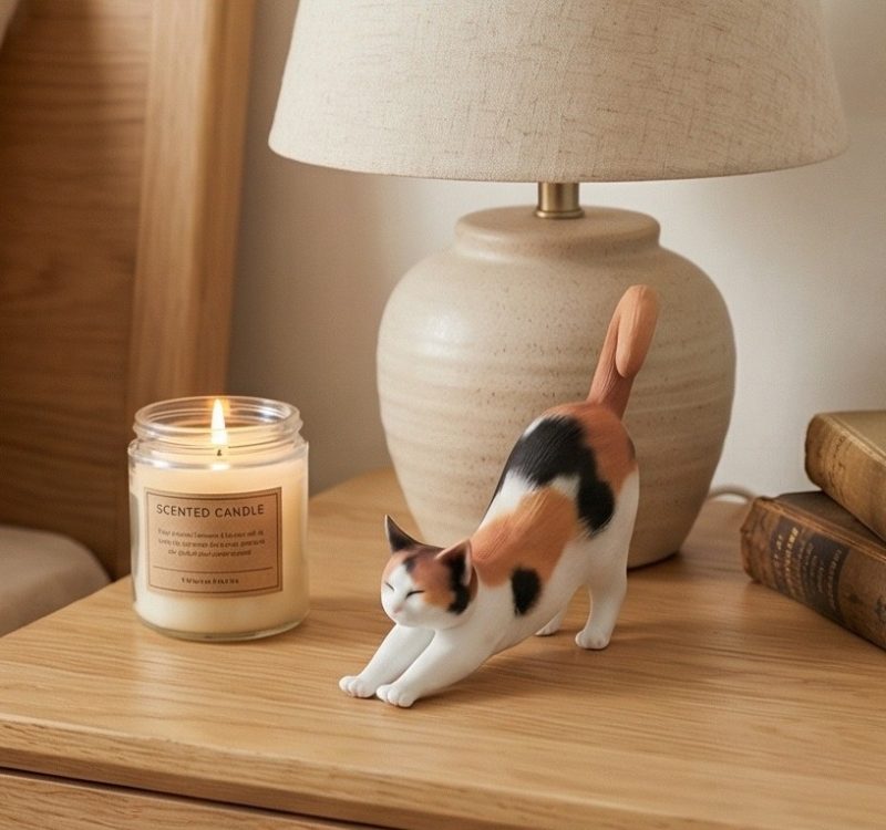 AI商品图套图微信图片_202603261607523_场景氛围图：多场景适配展示_美图设计室