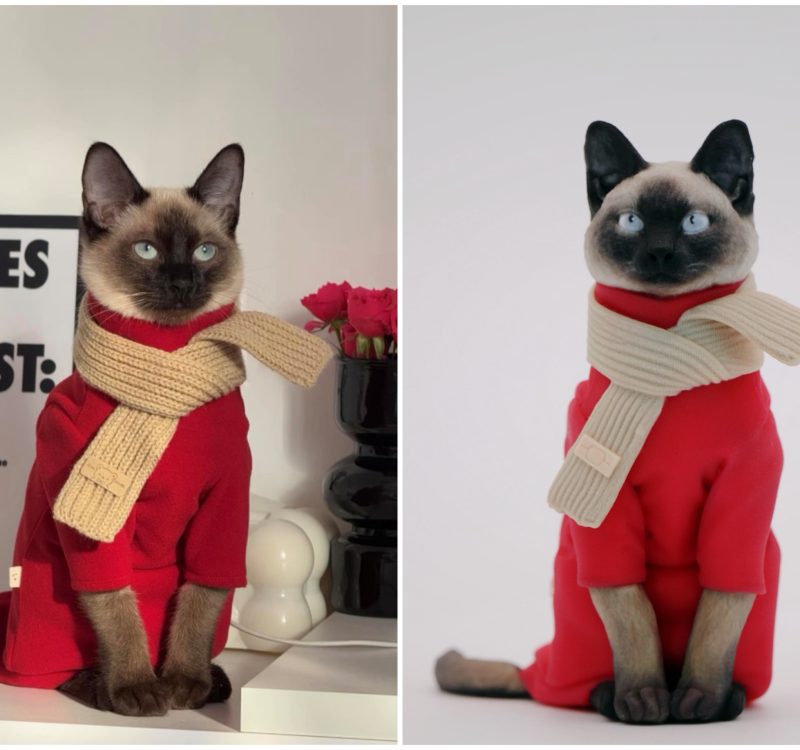 fcbbfc697ae55d6342e0675ef2298d8