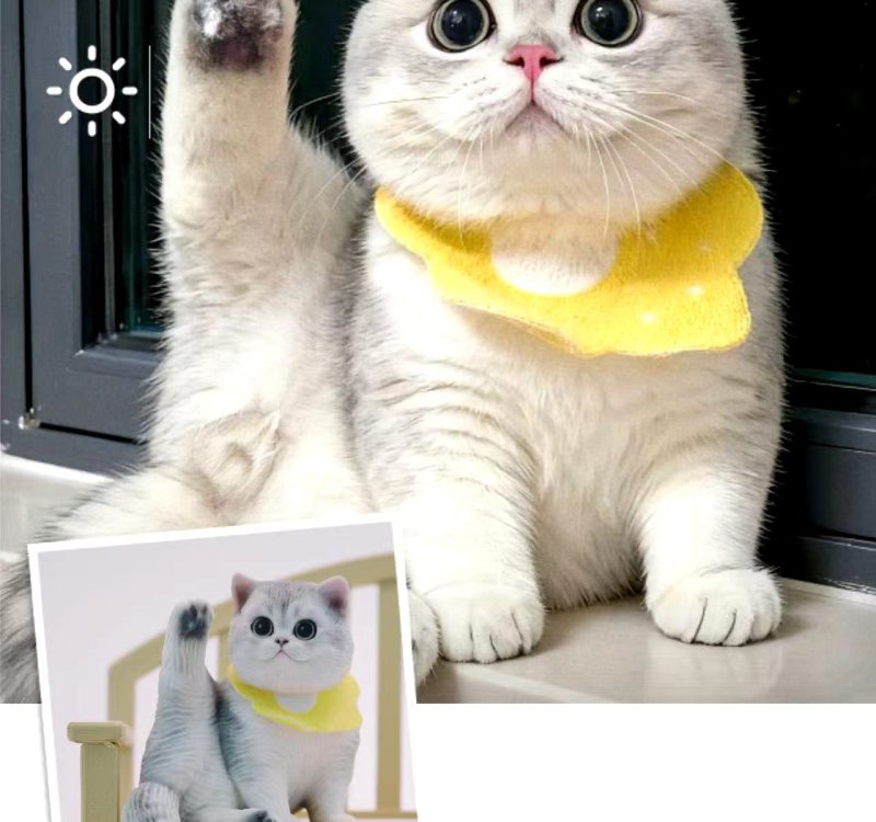 微信图片_20260323165002