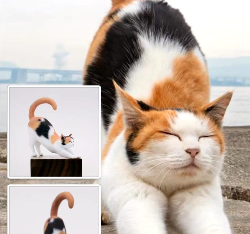 微信图片_20260323165015